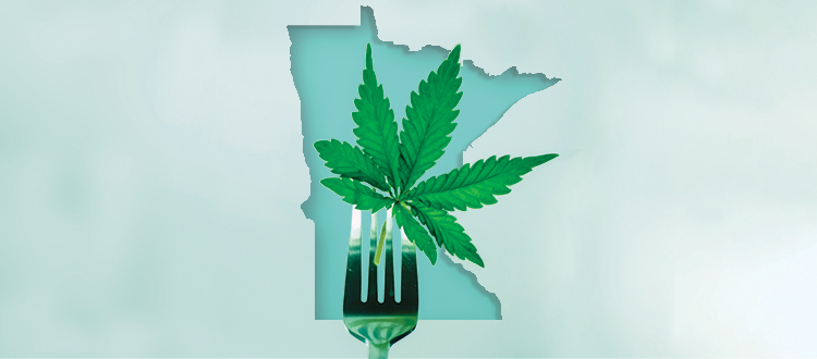 Growing THC Legalization: What It Means in One State